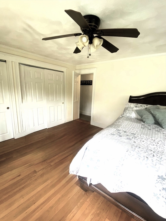 4 bed, 1 bath apartment for rent at 35 Reedsdale Rd, Milton — photo 25 of 41