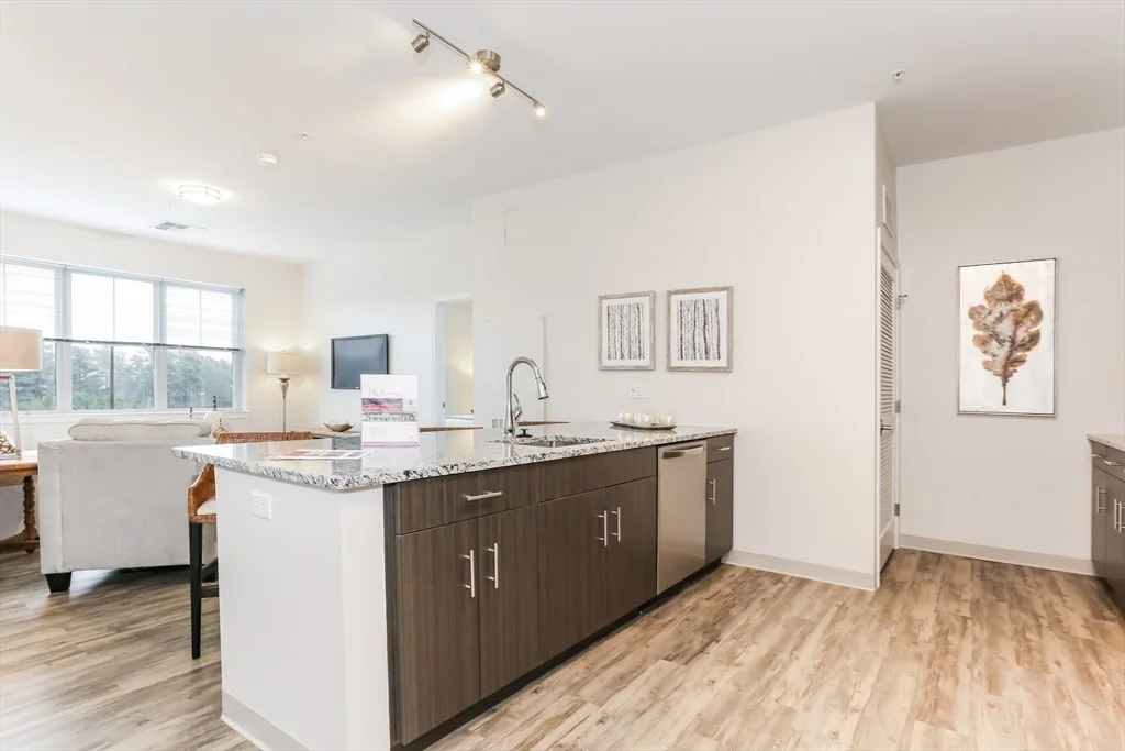 2 bed, 2 bath apartment for rent at 35 Rosebrook Pl Unit 1008, Wareham — photo 4 of 11