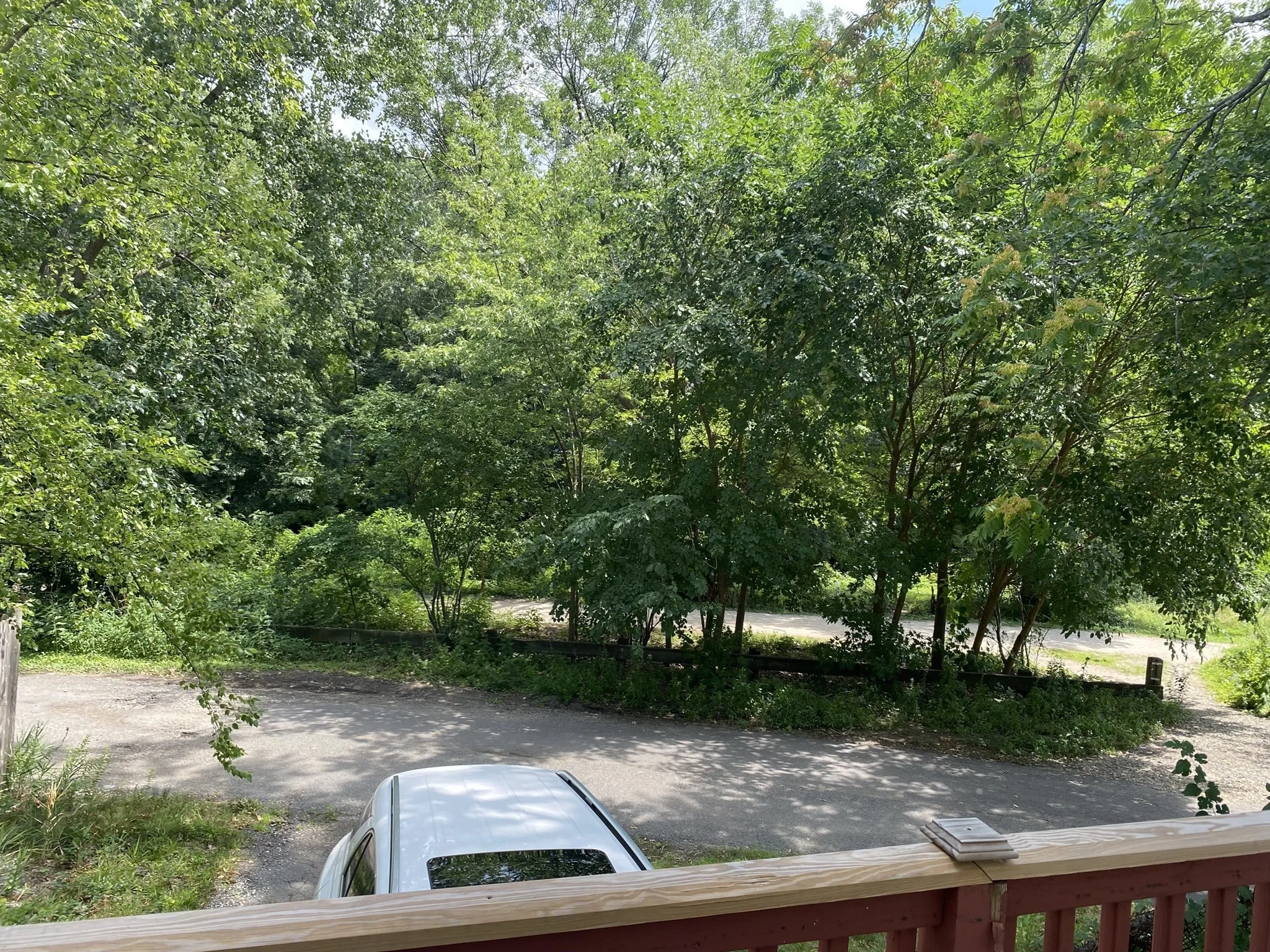 2 bed, 1 bath apartment for rent at 35 Sunnyside Ave Unit 0, Arlington — photo 1 of 16