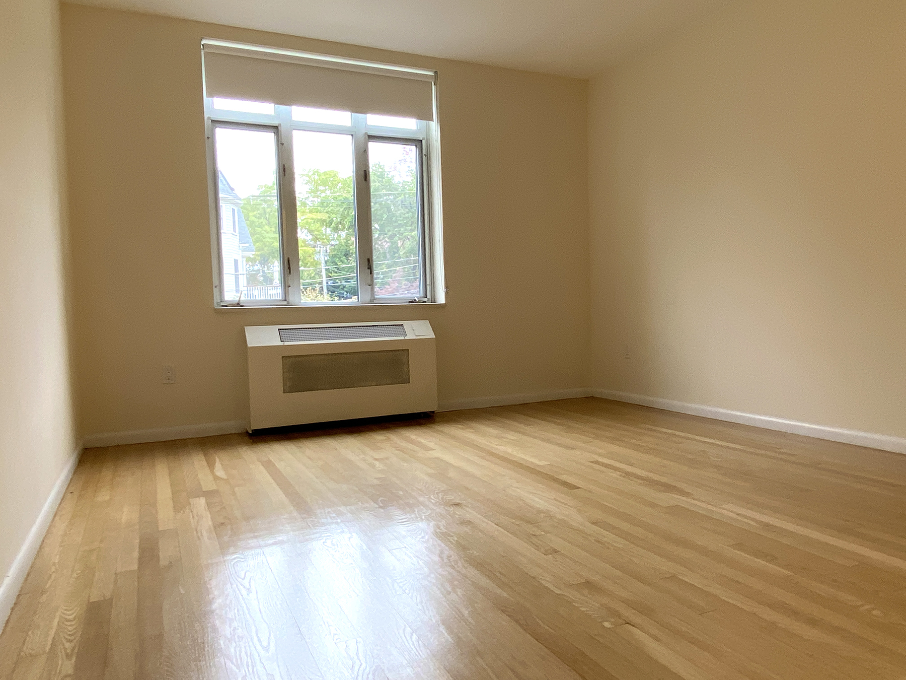 1 bed, 1 bath apartment for rent at 35 Vernon St Unit 111, Coolidge Corner — photo 5 of 8