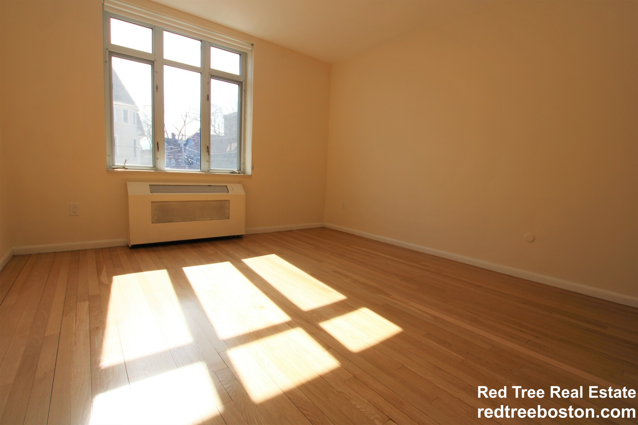 2 bed, 2 bath apartment for rent at 35 Vernon St Unit 205, Coolidge Corner — photo 13 of 25