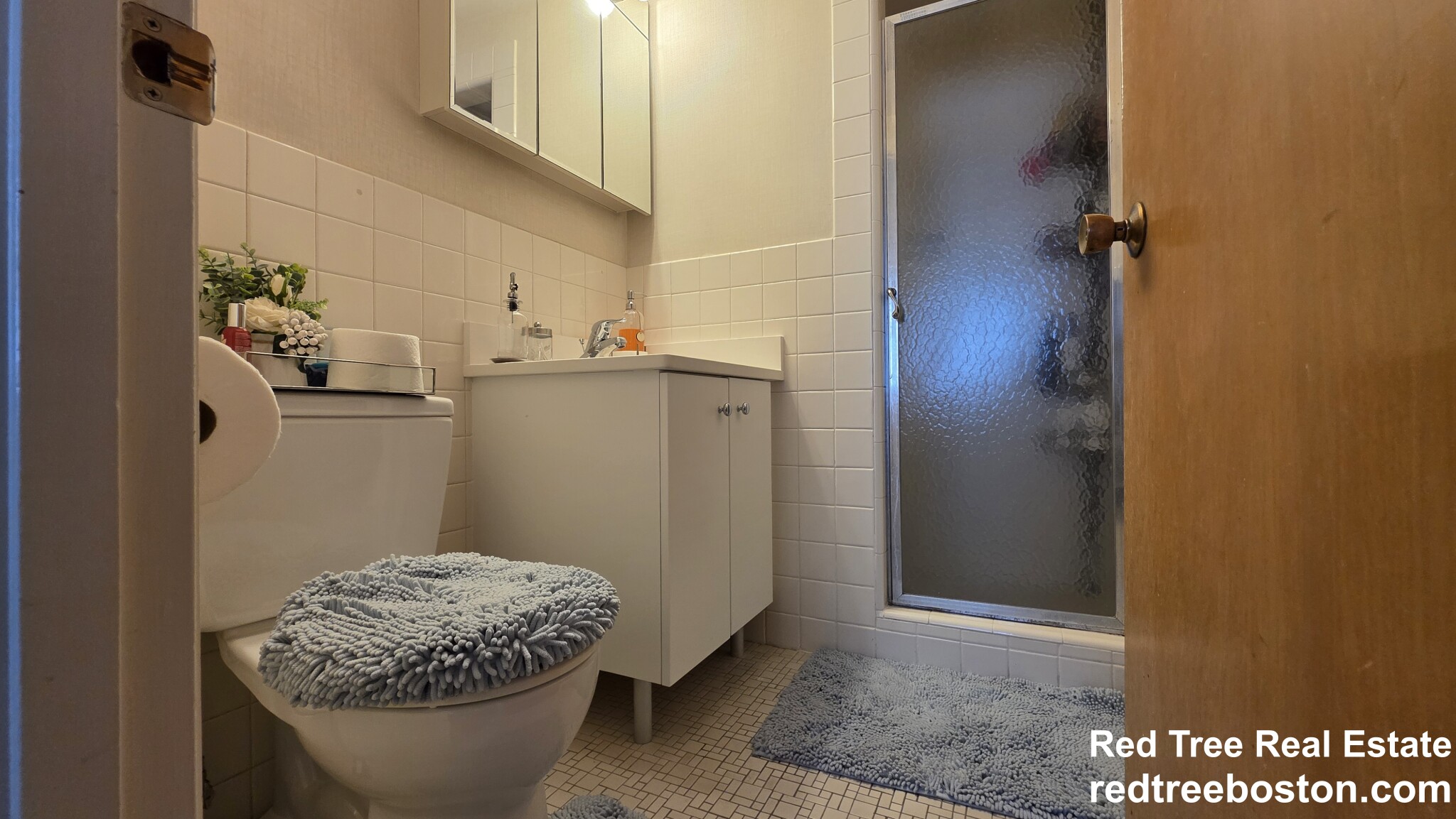 2 bed, 2 bath apartment for rent at 35 Vernon St Unit 205, Coolidge Corner — photo 3 of 25