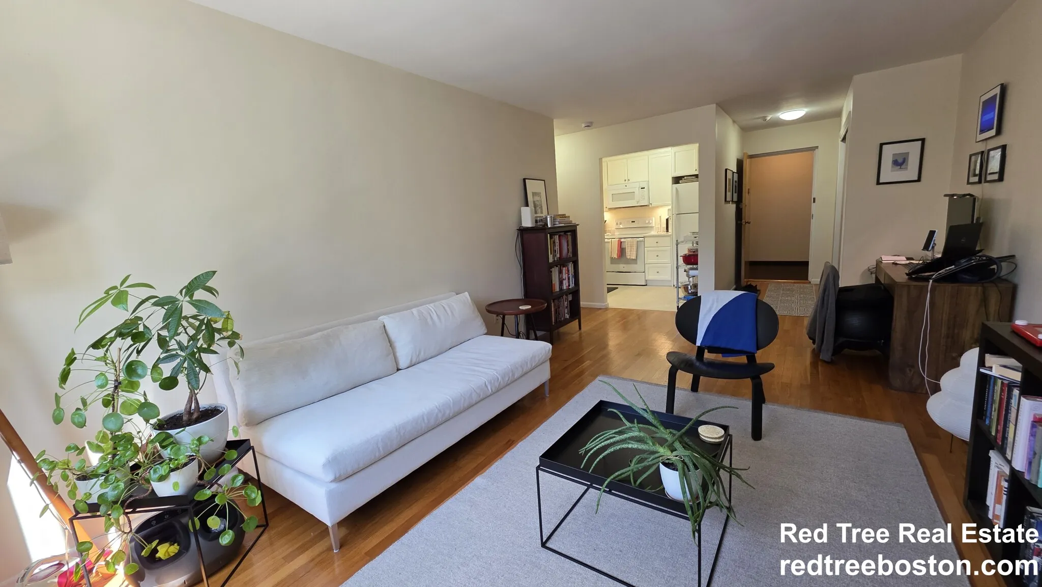 1 bed, 1 bath apartment for rent at 35 Vernon St Unit 206, Coolidge Corner — photo 5 of 11