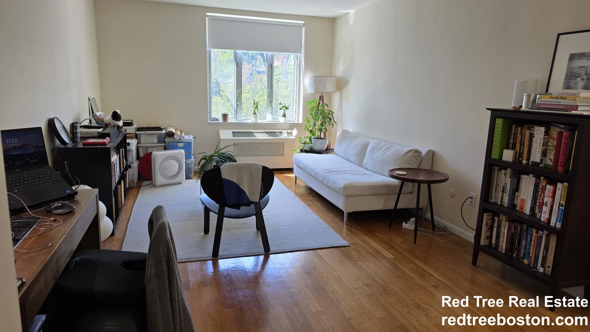 1 bed, 1 bath apartment for rent at 35 Vernon St Unit 206, Coolidge Corner