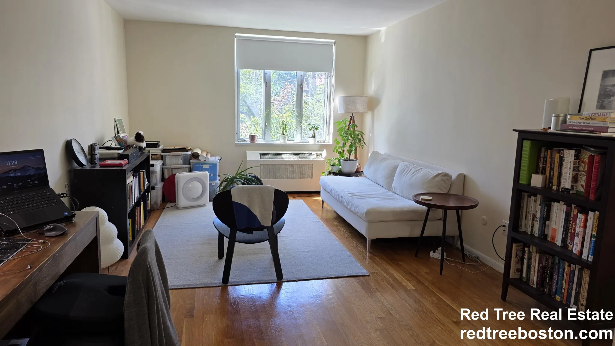 1 bed, 1 bath apartment for rent at 35 Vernon St Unit 206, Coolidge Corner — photo 2 of 11