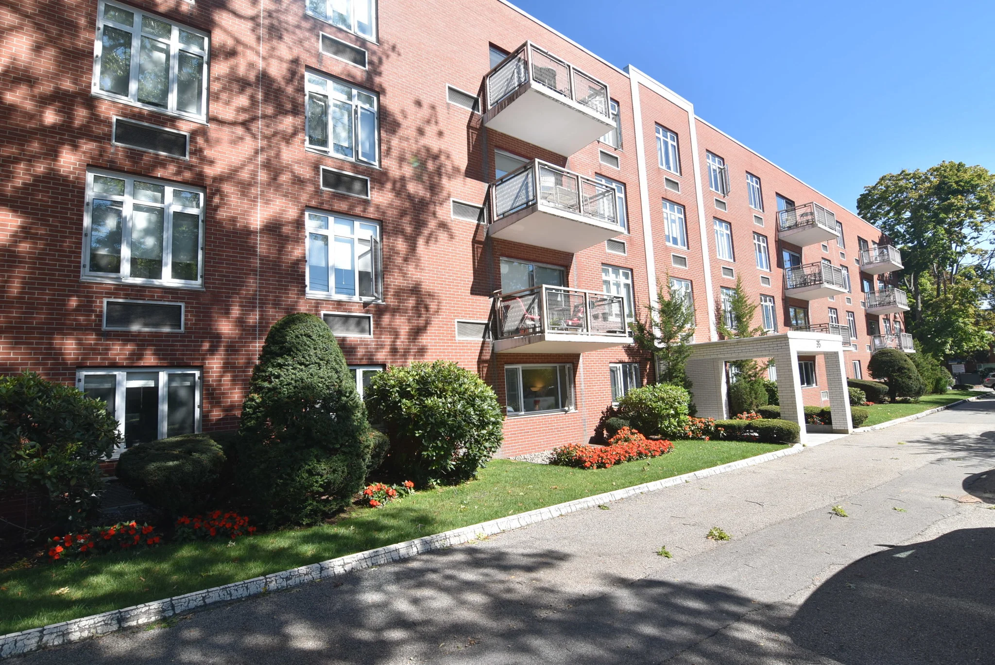1 bed, 1 bath apartment for rent at 35 Vernon St Unit 302, Coolidge Corner — photo 5 of 7