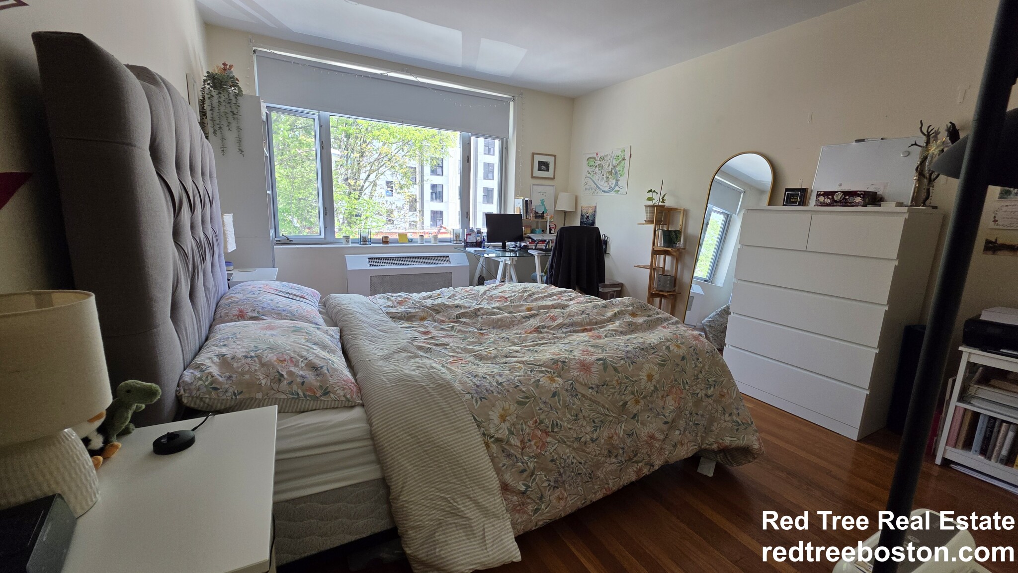 1 bed, 1 bath apartment for rent at 35 Vernon St Unit 312, Coolidge Corner — photo 4 of 10