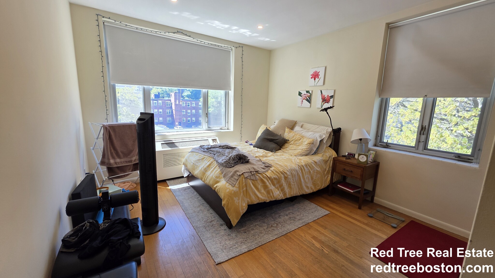 1 bed, 1 bath apartment for rent at 35 Vernon St Unit 409, Coolidge Corner — photo 4 of 7