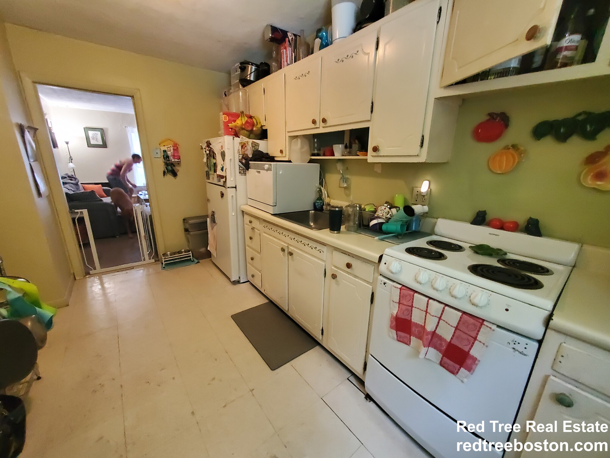 2 bed, 1 bath apartment for rent at 35 Westgate Rd Unit 4, Chestnut Hill — photo 10 of 30