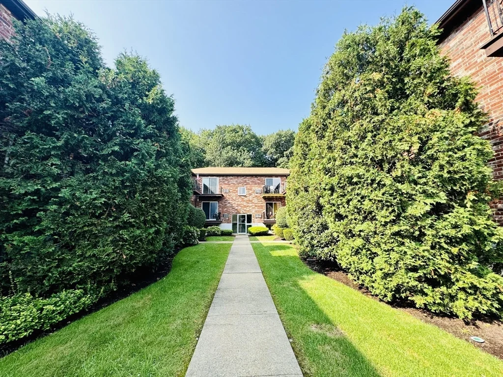 2 bed, 1 bath apartment for rent at 35 Westgate Rd Unit 6, Chestnut Hill — photo 4 of 28