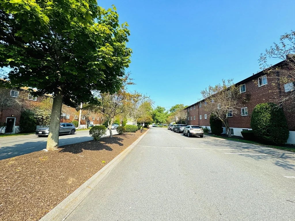 2 bed, 1 bath apartment for rent at 35 Westgate Rd Unit 6, Chestnut Hill — photo 2 of 28