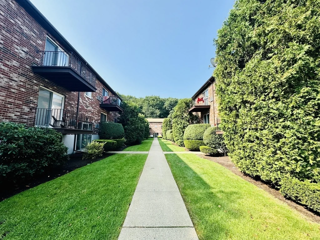 2 bed, 1 bath apartment for rent at 35 Westgate Rd Unit 6, Chestnut Hill — photo 5 of 28
