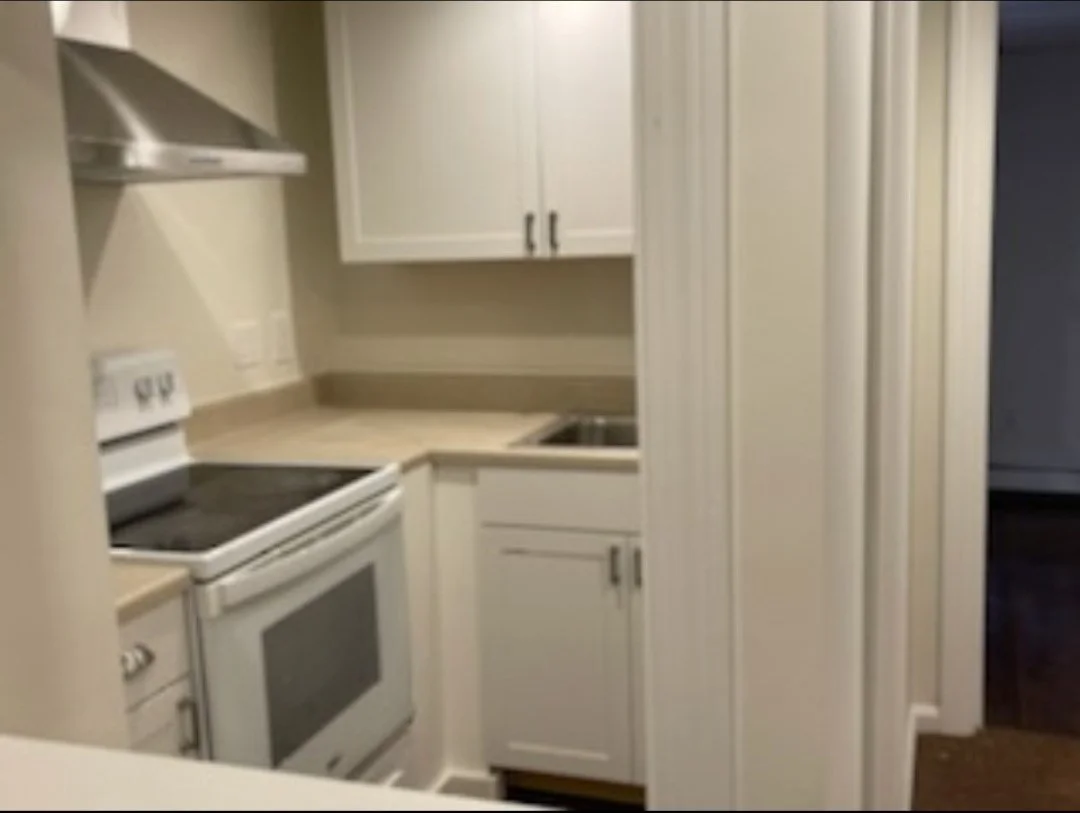 1 bed, 1 bath apartment for rent at 35 Williams Ave Unit 0, Hyde Park — photo 6 of 10