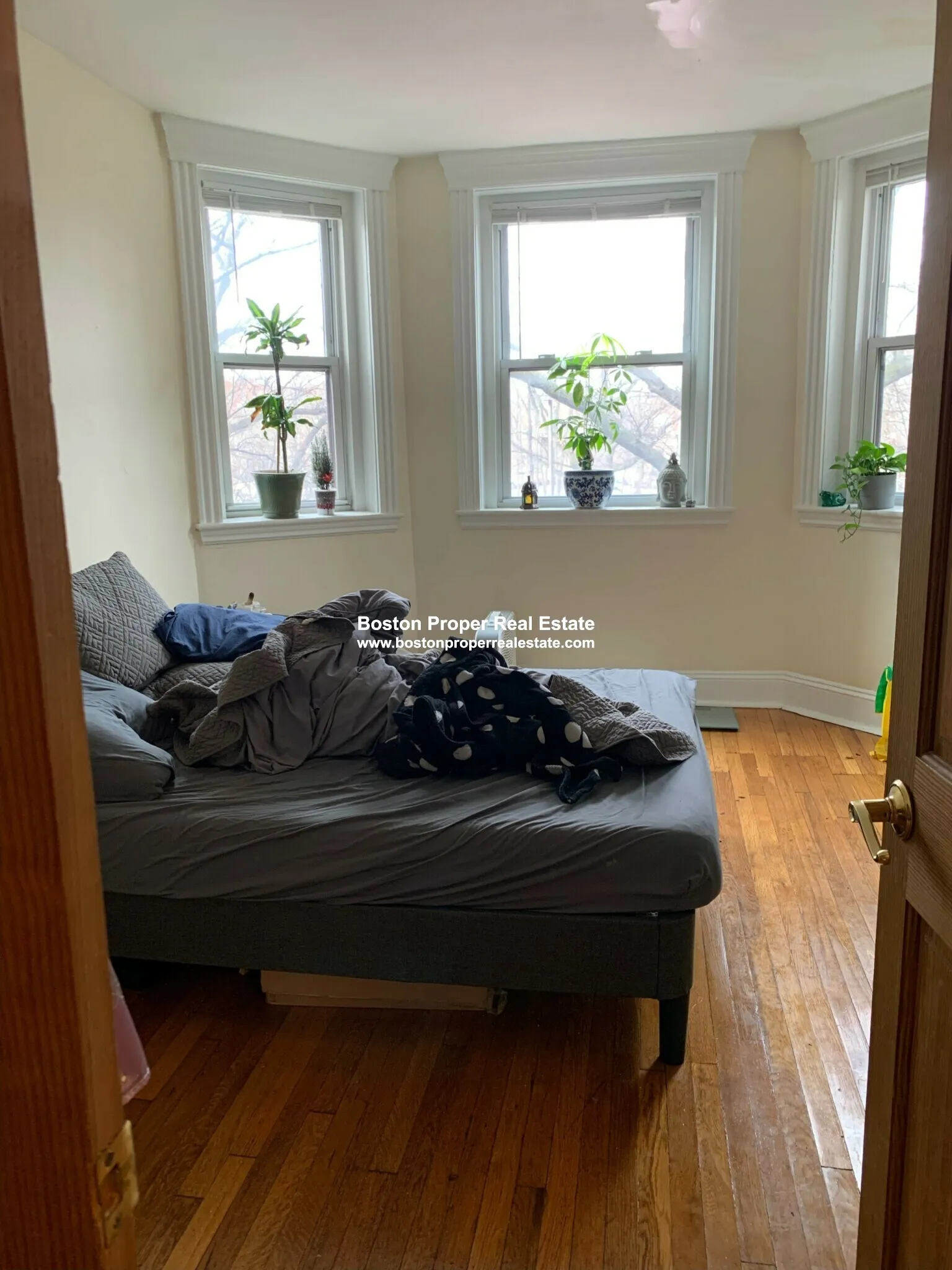 2 bed, 1 bath apartment for rent at 352 Riverway Unit 19, Coolidge Corner — photo 6 of 11