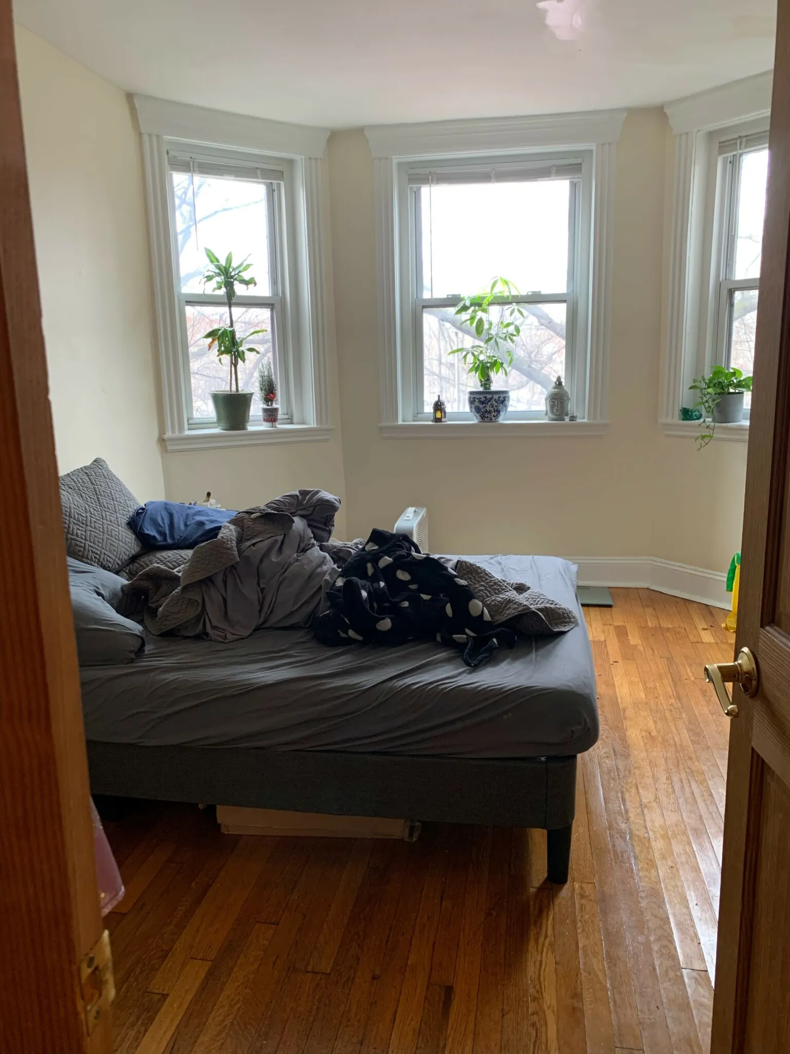 2 bed, 1 bath apartment for rent at 352 Riverway Unit 4, Mission Hill — photo 5 of 9