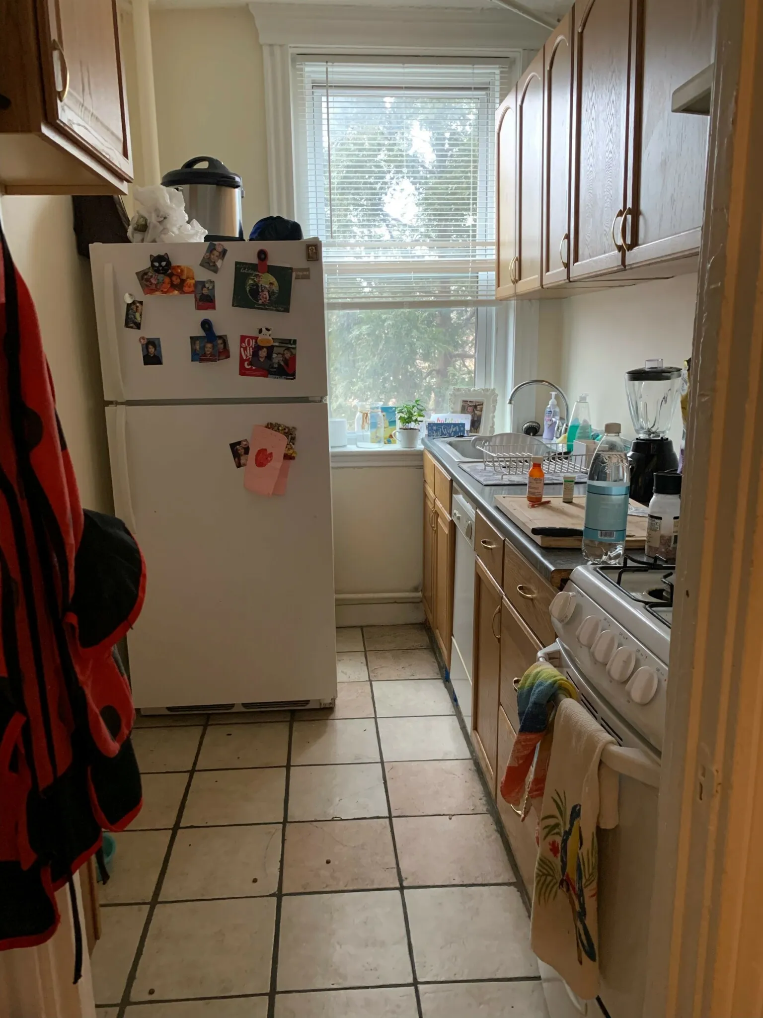2 bed, 1 bath apartment for rent at 352 Riverway Unit 4, Mission Hill — photo 4 of 9