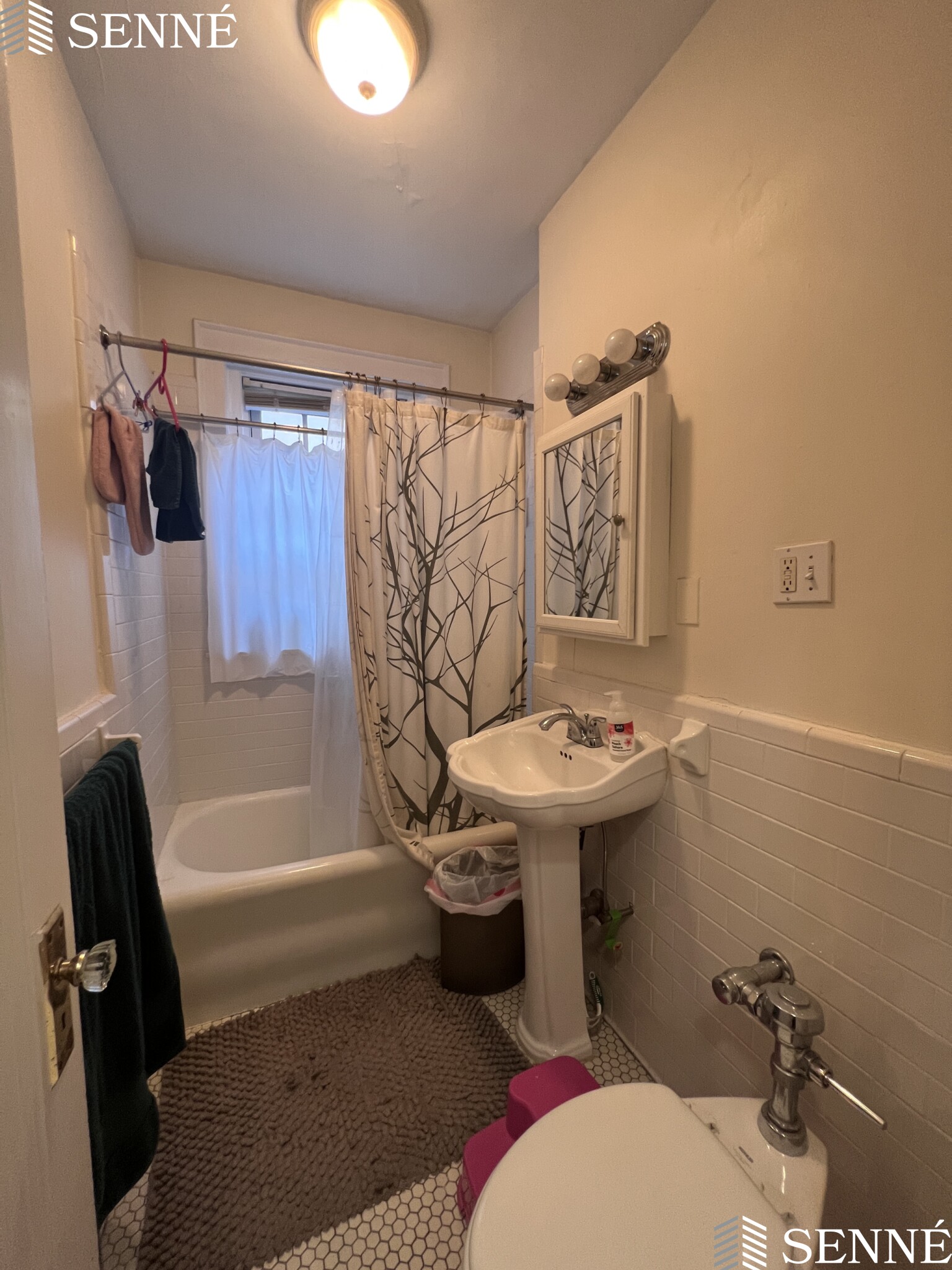 1 bed, 1 bath apartment for rent at 353 Harvard Unit 4, Mid Cambridge — photo 12 of 17