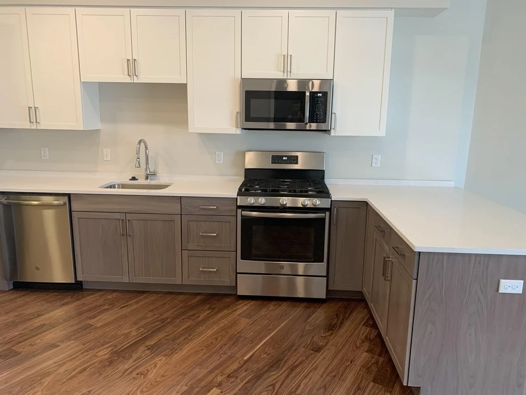 1 bed, 1 bath apartment for rent at 3531 Washington St Unit 313, Jamaica Plain — photo 4 of 10