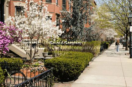 Studio bed, 1 bath apartment for rent at 354 Marlborough St Unit Br, Back Bay — photo 8 of 8
