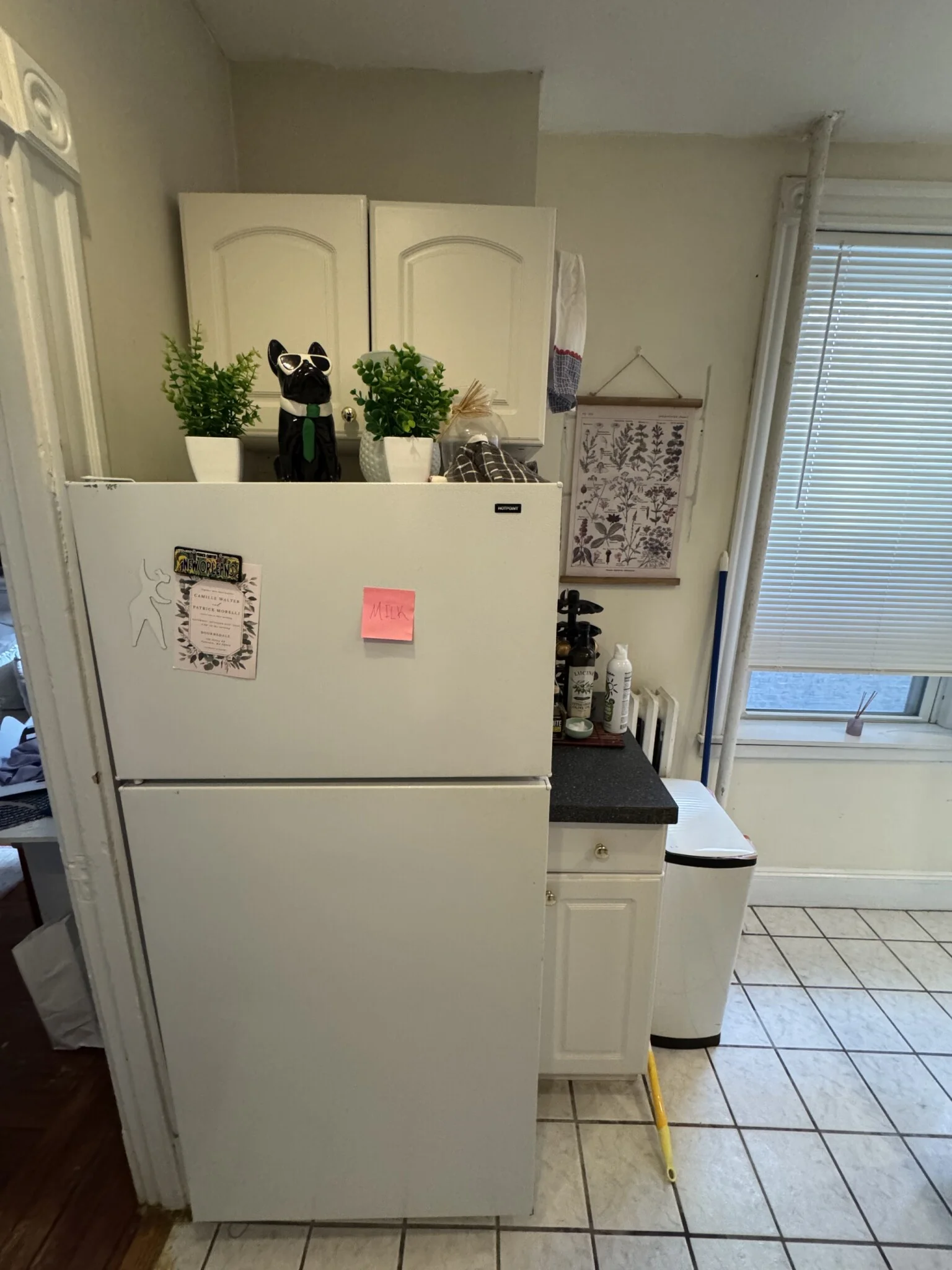 2 bed, 1 bath apartment for rent at 36 Anderson Unit 3, Beacon Hill — photo 7 of 11
