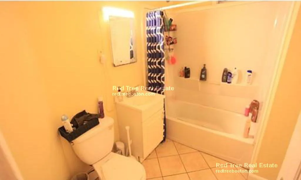4 bed, 2 bath apartment for rent at 36 Cherokee St Unit 1, Mission Hill — photo 15 of 16