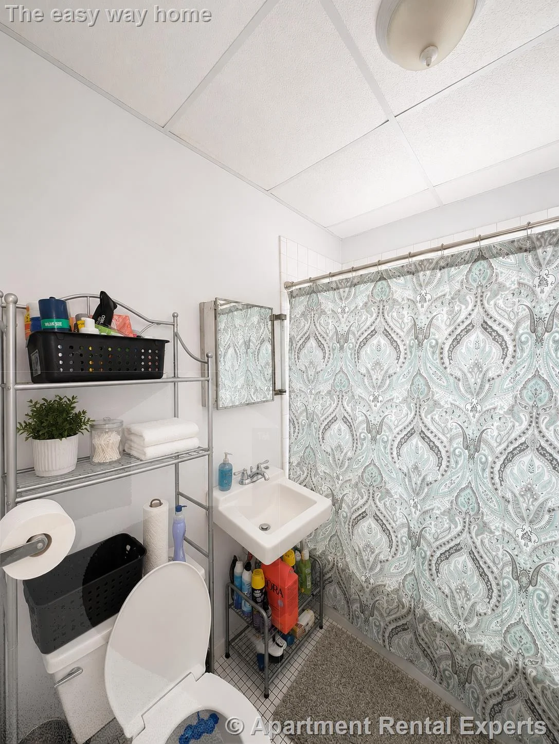1 bed, 1 bath apartment for rent at 36 College Ave Unit 1, Davis Square — photo 7 of 9