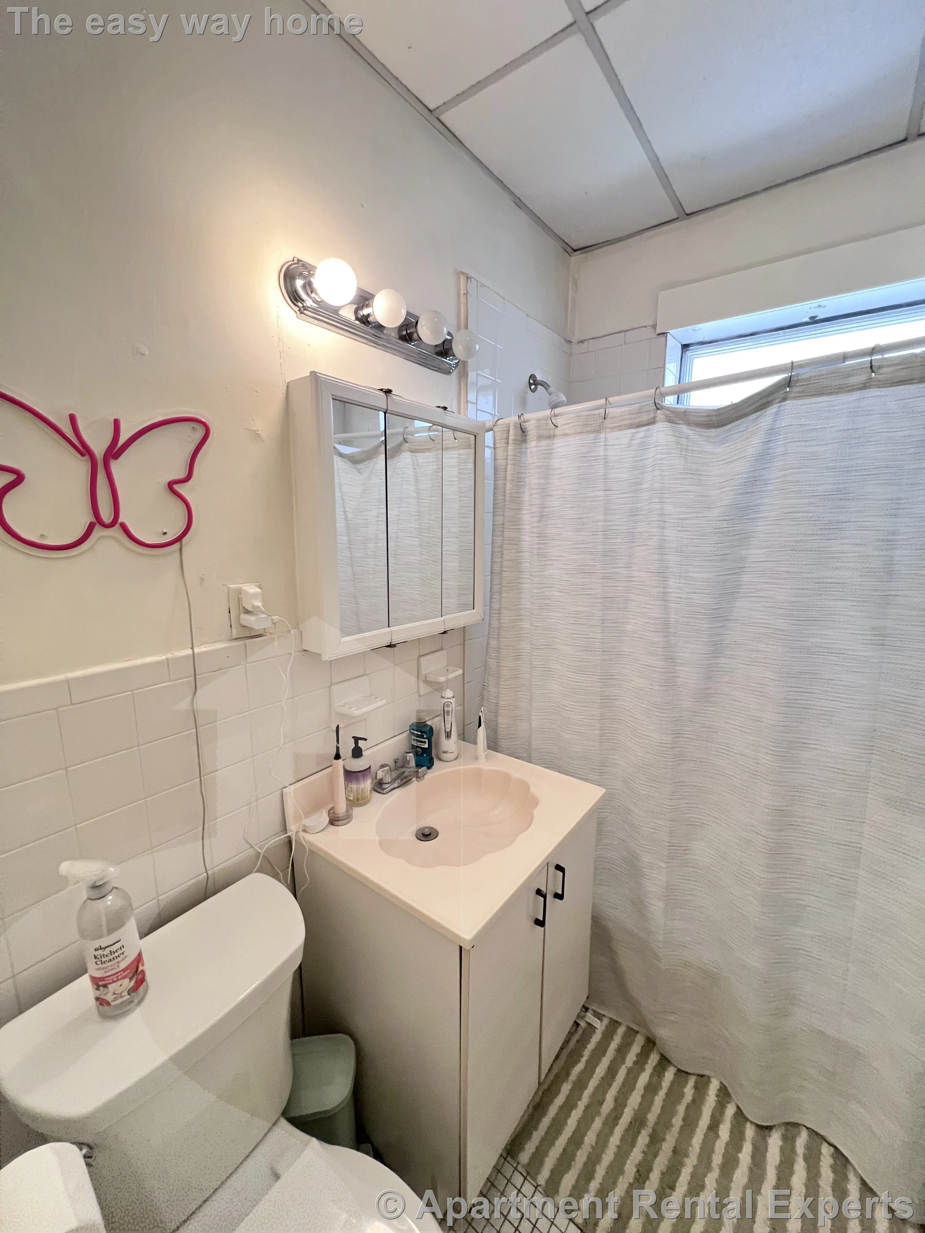 1 bed, 1 bath apartment for rent at 36 College Ave Unit 5, Davis Square — photo 5 of 13