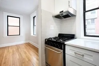 1 bed, 1 bath apartment for rent at 36 East Newton St Unit 1, South End — photo 3 of 8