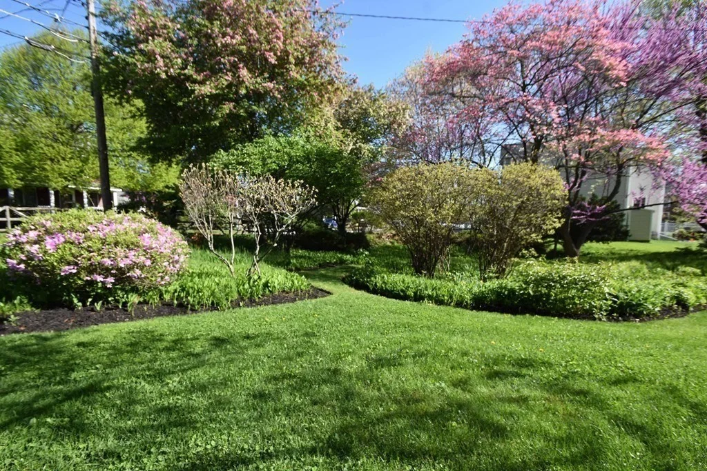4 bed, 2 bath apartment for rent at 36 Evergreen Ave Unit Entire Home, Newton — photo 22 of 23