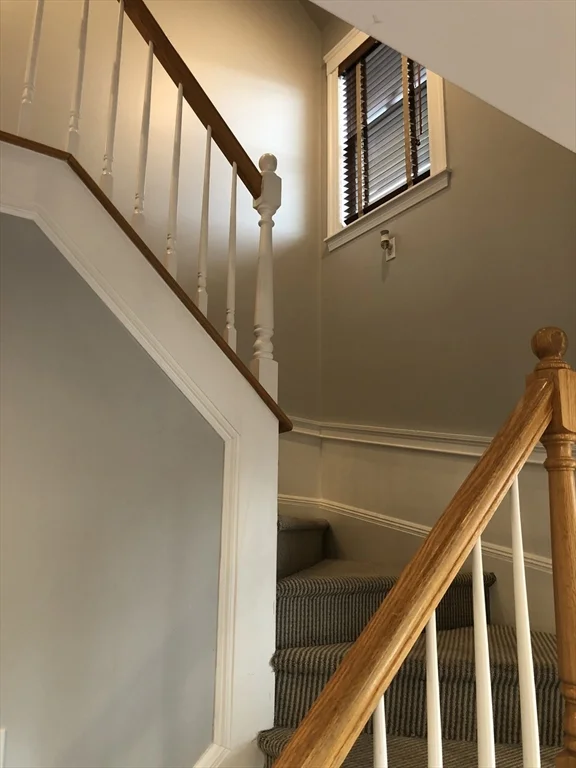 1 bed, 1 bath apartment for rent at 36 Gerald Rd Unit 3, Brighton — photo 4 of 21