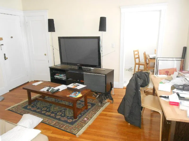 1 bed, 1 bath apartment for rent at 36 Quint Ave Unit 16, Allston — photo 2 of 11