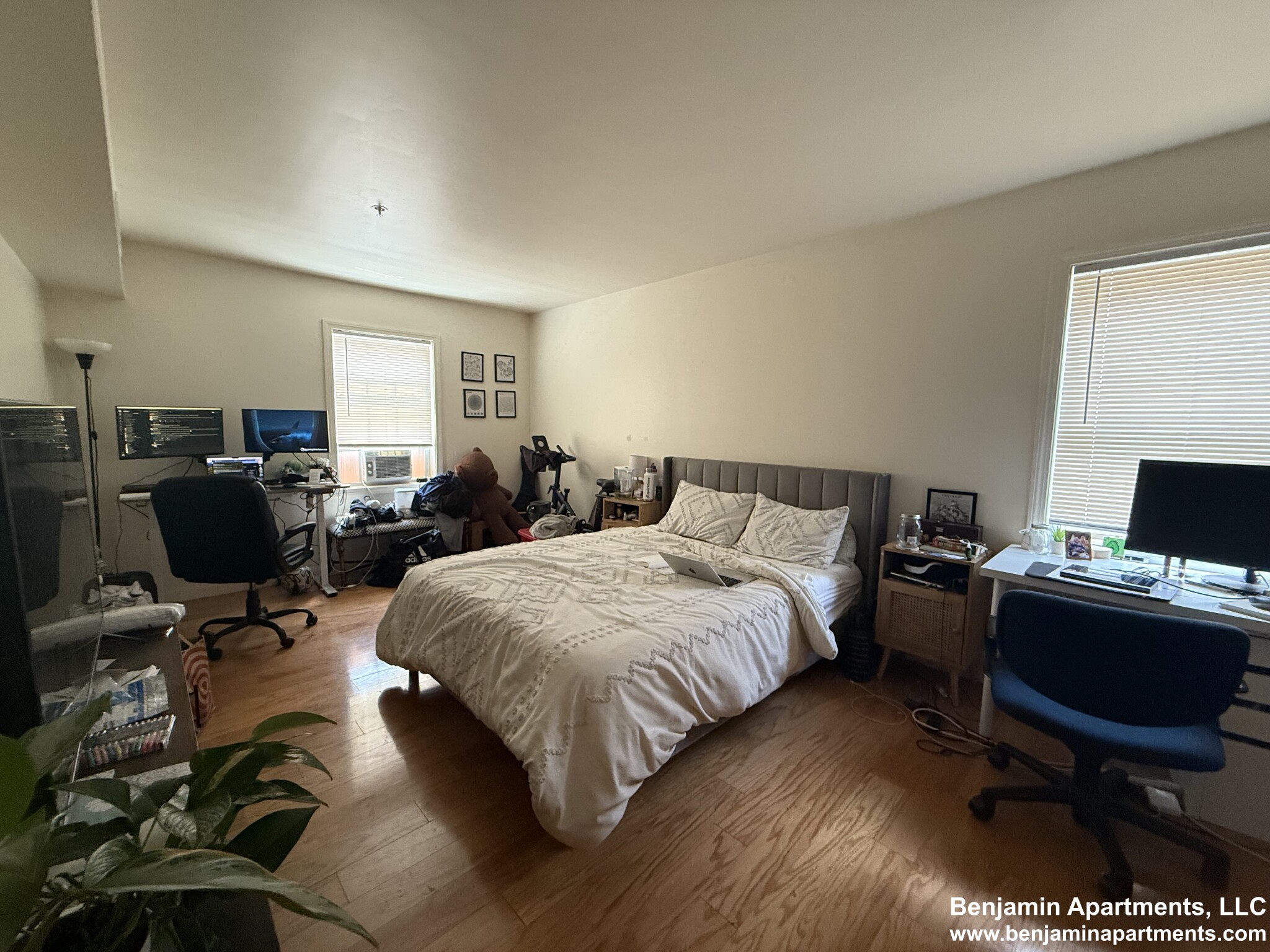 5 bed, 2.5 bath apartment for rent at 36 Raymond St Unit 36B, Lower Allston