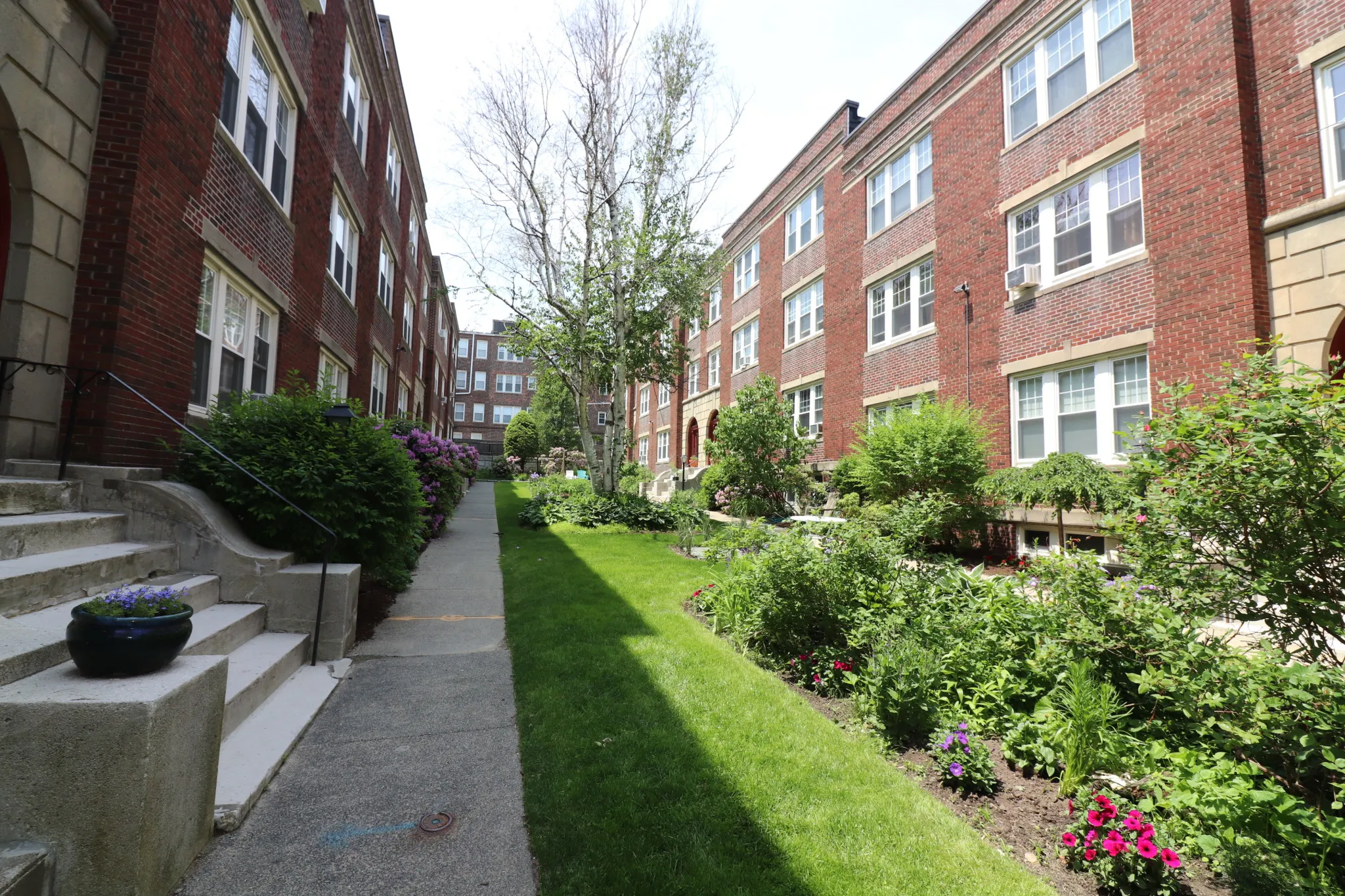 2 bed, 1 bath apartment for rent at 36 Saint Paul St Unit B, Coolidge Corner — photo 8 of 8