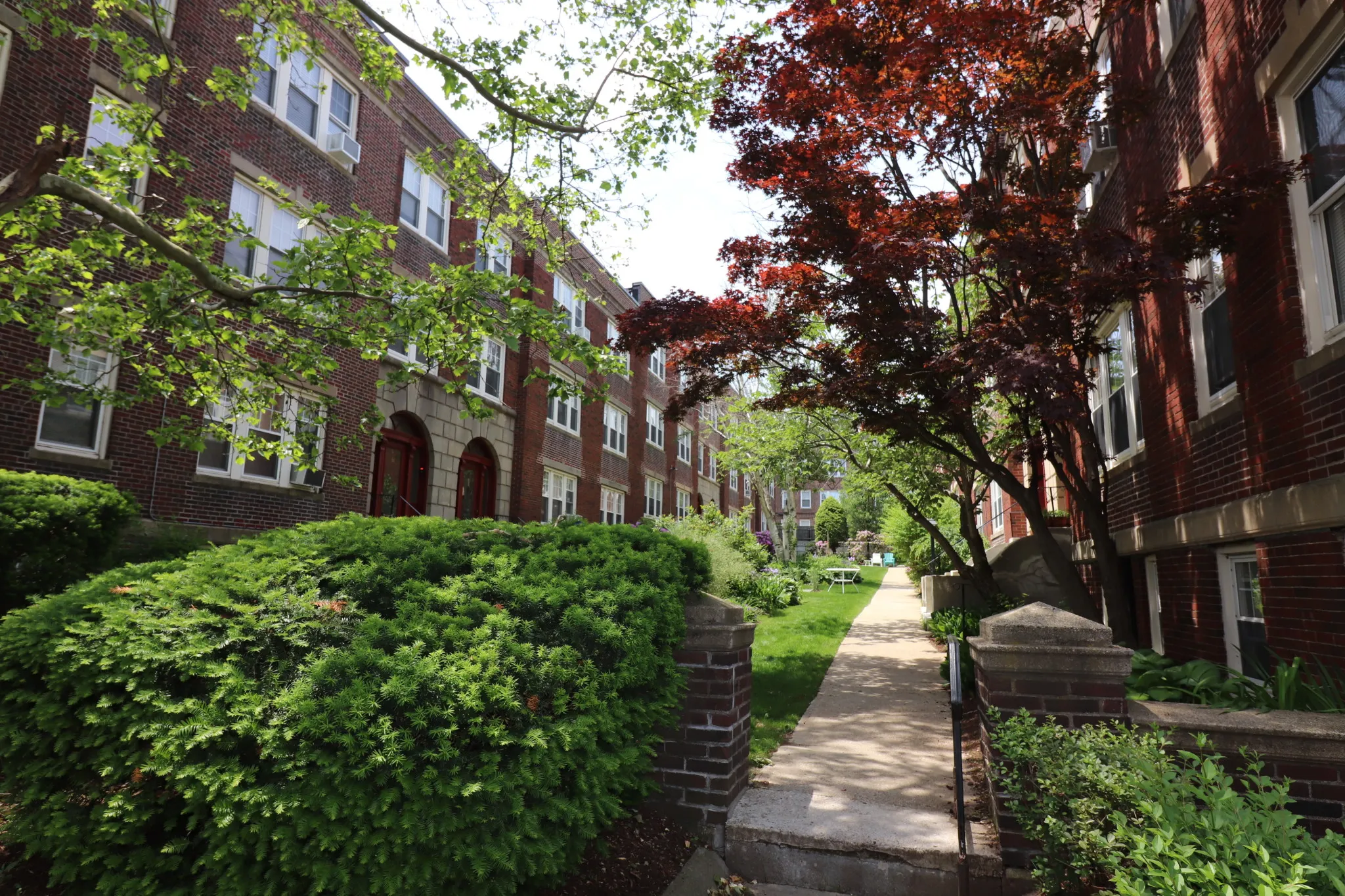 2 bed, 1 bath apartment for rent at 36 Saint Paul St Unit B, Coolidge Corner — photo 6 of 8