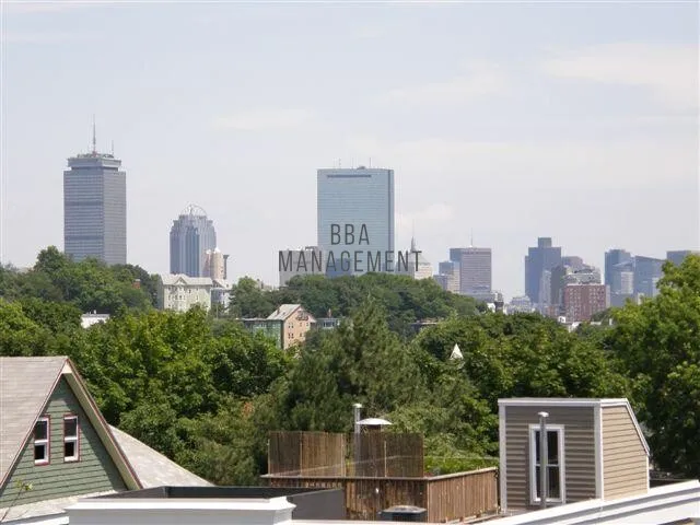 1 bed, 1 bath apartment for rent at 36 Sheridan St Unit 1, Jamaica Plain — photo 18 of 19