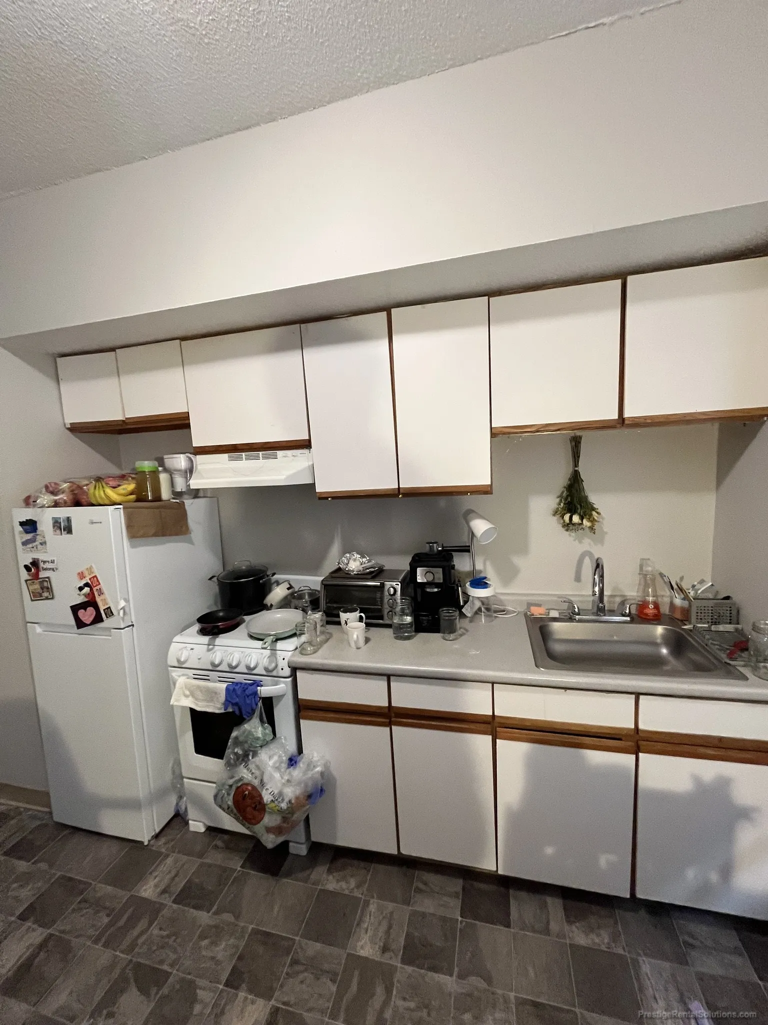 1 bed, 1 bath apartment for rent at 36 South Huntington Ave Unit 12, Mission Hill — photo 3 of 11