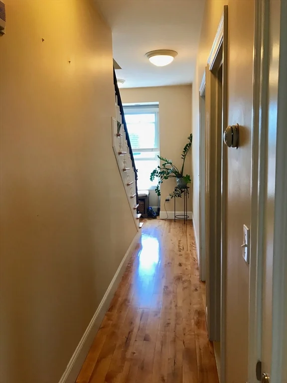 2 bed, 1 bath apartment for rent at 360-362 Dorchester St Unit 3, South Boston — photo 36 of 38