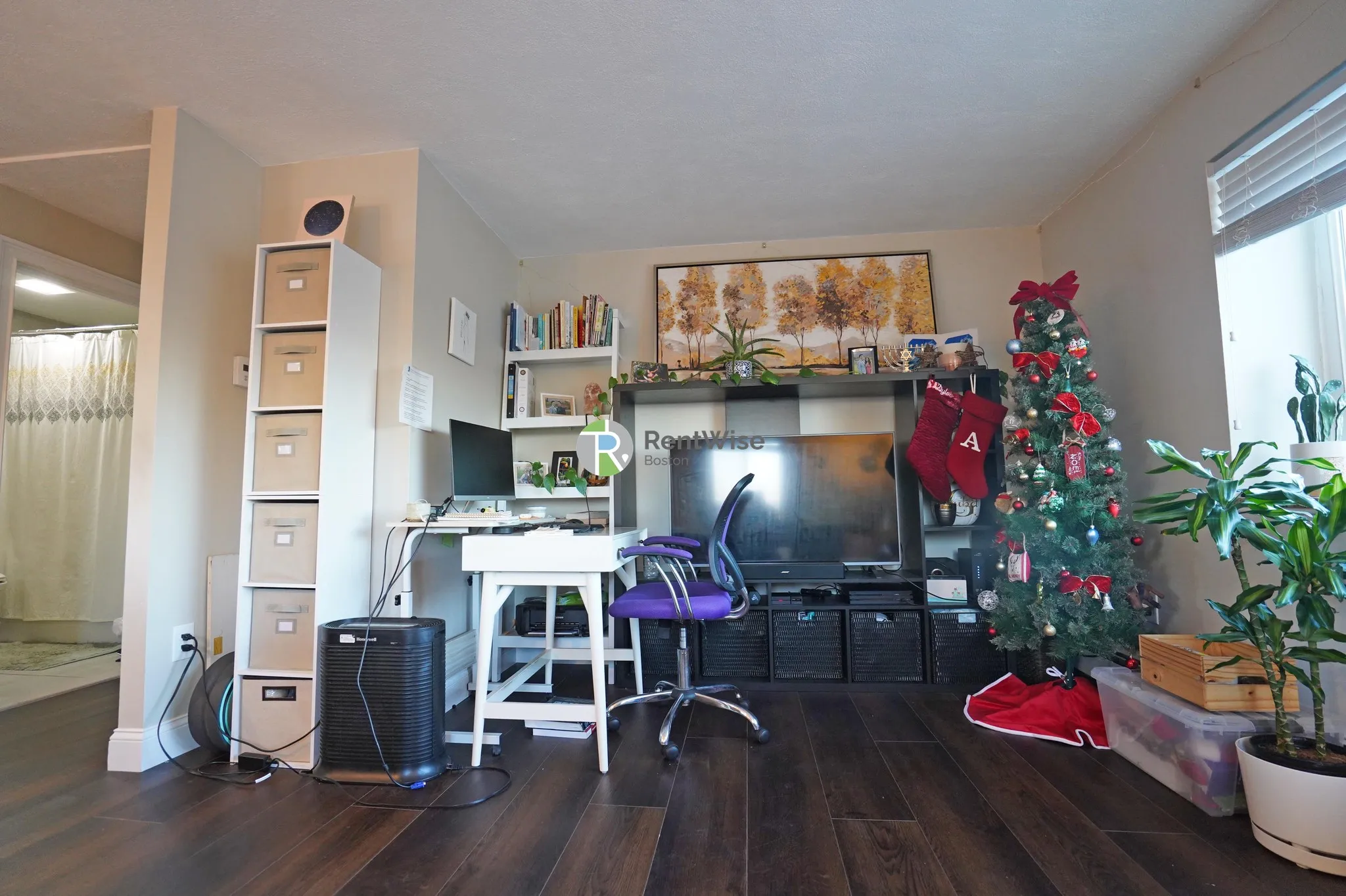 1 bed, 1 bath apartment for rent at 360 Market St Unit 5, Brighton — photo 4 of 17