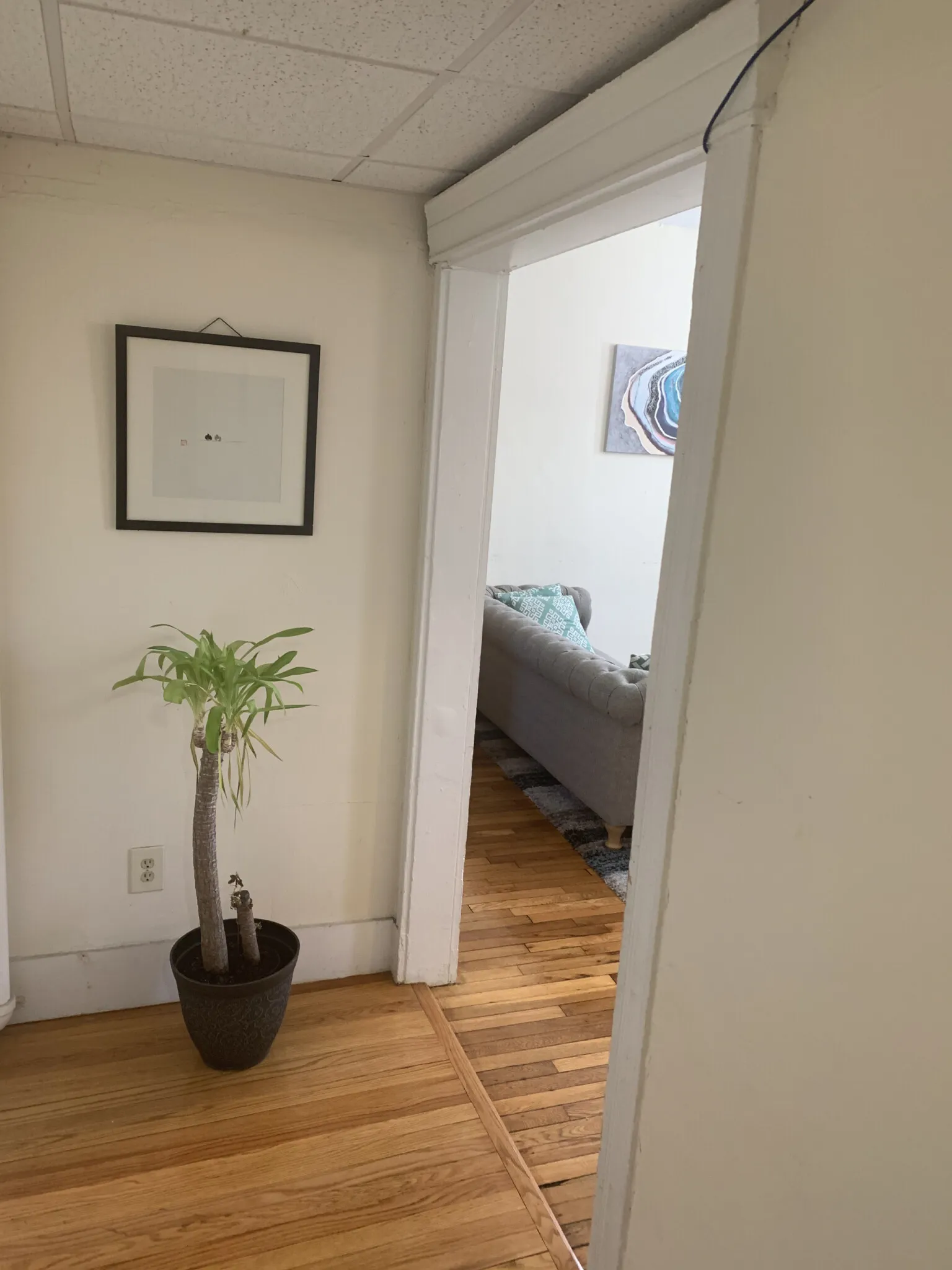 2 bed, 1 bath apartment for rent at 360 Riverway Unit 2, Mission Hill — photo 10 of 29