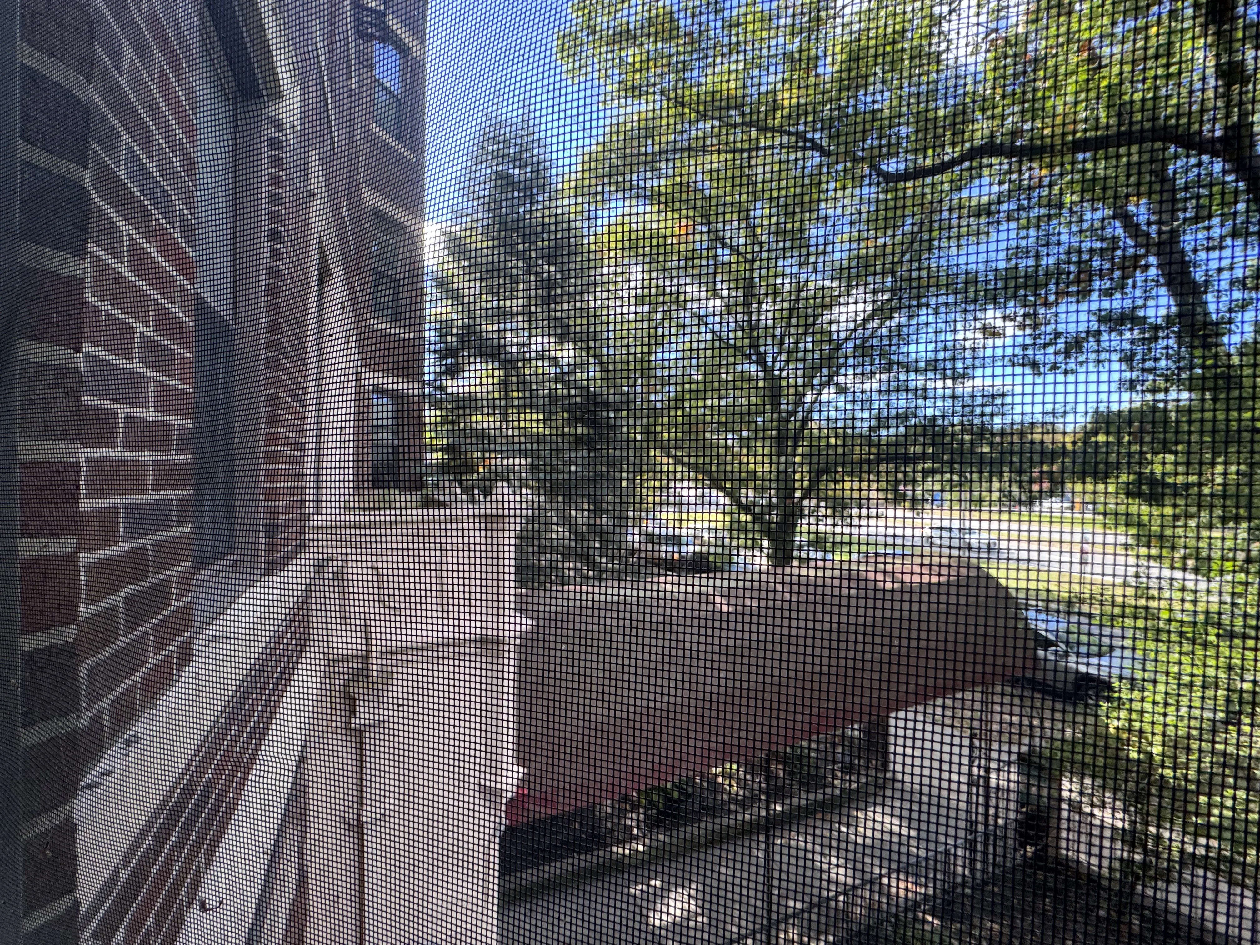 1 bed, 1 bath apartment for rent at 364 Riverway Unit 364-3, Mission Hill — photo 11 of 11