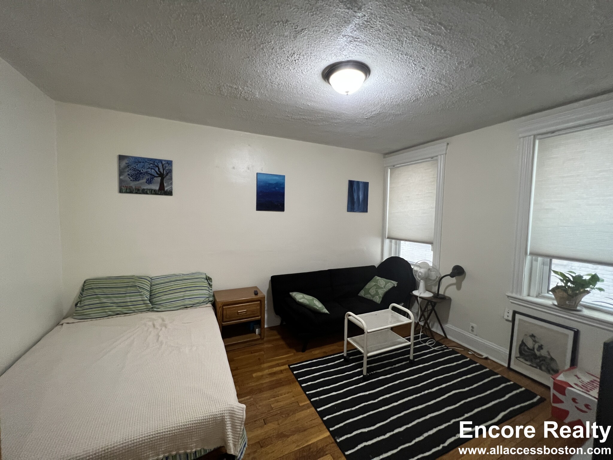 Studio bed, 1 bath apartment for rent at 364 Riverway Unit 5, Mission Hill — photo 6 of 11