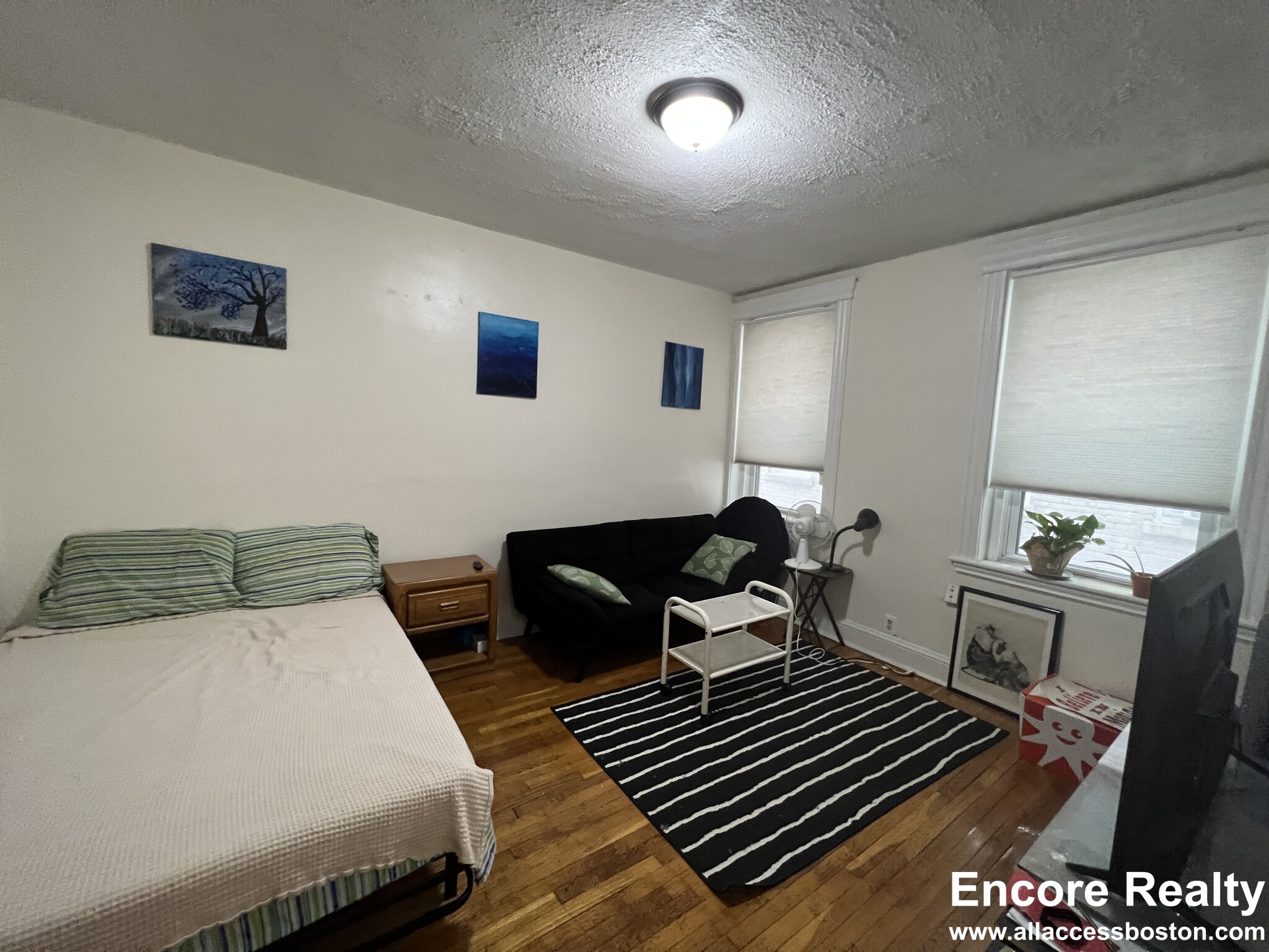 Studio bed, 1 bath apartment for rent at 364 Riverway Unit 5, Mission Hill — photo 1 of 11