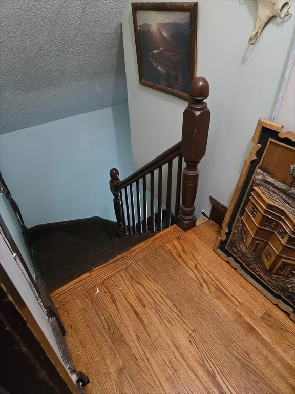 1 bed, 1 bath apartment for rent at 37 Bradley St Unit 2, Winter Hill — photo 5 of 6
