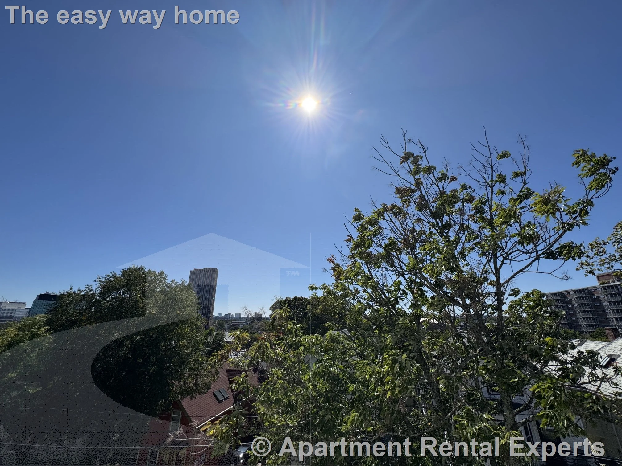 2 bed, 1 bath apartment for rent at 37 Columbus Ave Unit 3, Union Square — photo 19 of 20