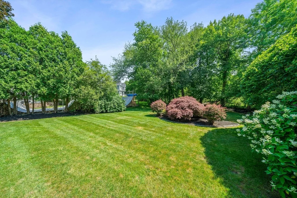 3 bed, 2 bath apartment for rent at 37 Harwich Rd, Newton — photo 31 of 40