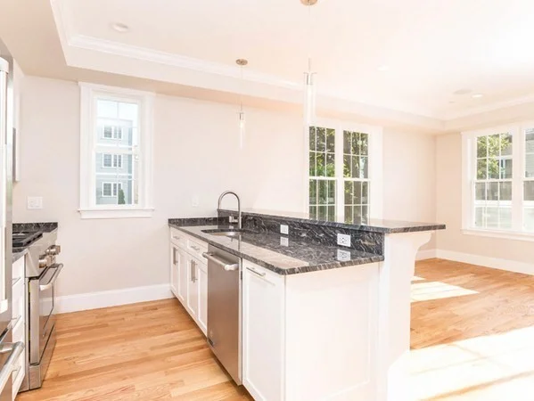 2 bed, 2 bath apartment for rent at 37 Mercer St Unit 3, South Boston — photo 4 of 13