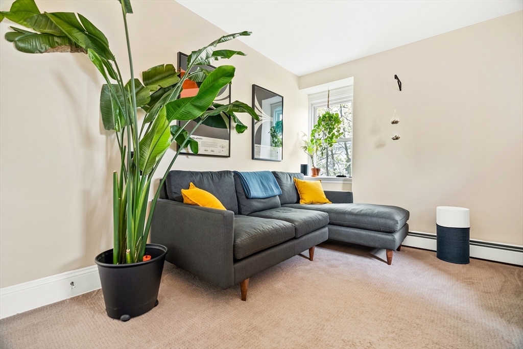 1 bed, 1 bath apartment for rent at 37 Putnam Ave Unit 3, Riverside — photo 13 of 21