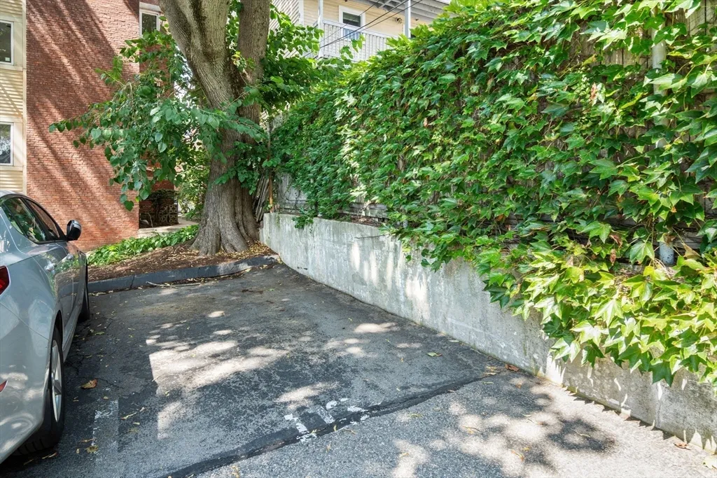 1 bed, 1 bath apartment for rent at 37 Saint Paul St Unit 3, Coolidge Corner — photo 11 of 13