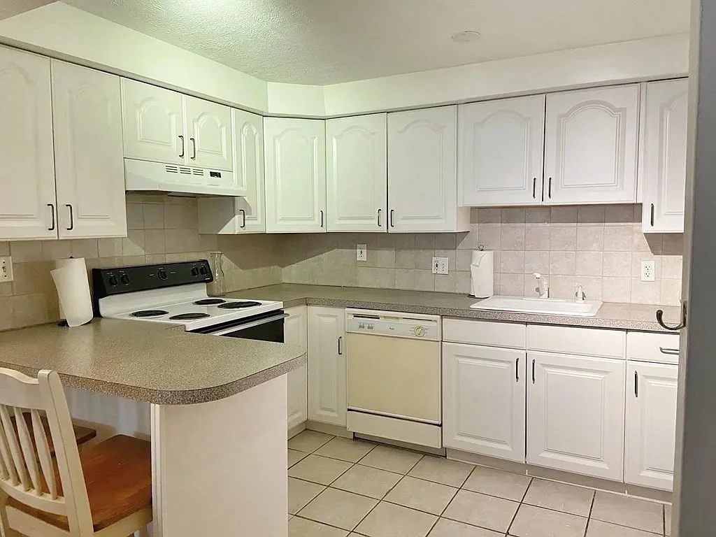 1 bed, 1 bath apartment for rent at 37 Saint Paul St Unit G2, Brookline — photo 3 of 16