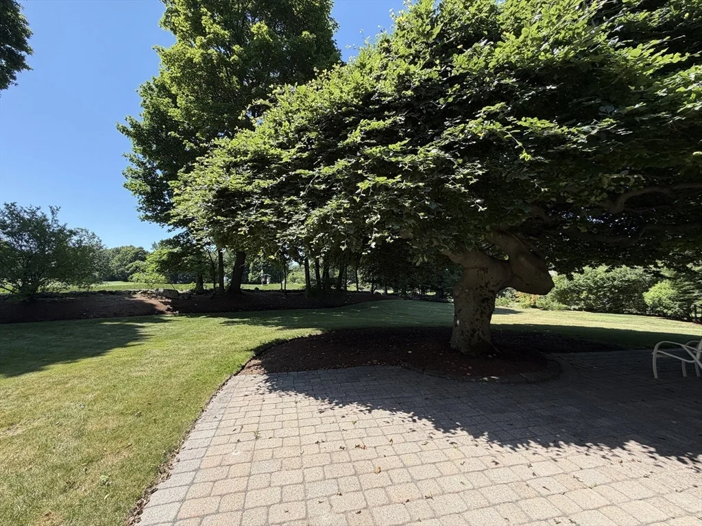 3 bed, 3 bath apartment for rent at 37 Stephen Pl, Oak Hill — photo 39 of 42